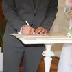 Alianza de boda Tricolor, Plana, Matizada