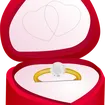Alianza de boda Plana, Matizada-Brillo