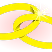 Alianza de boda Plana, Matizada-Brillo