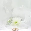 Alianza de boda Plana, Matizada-Brillo
